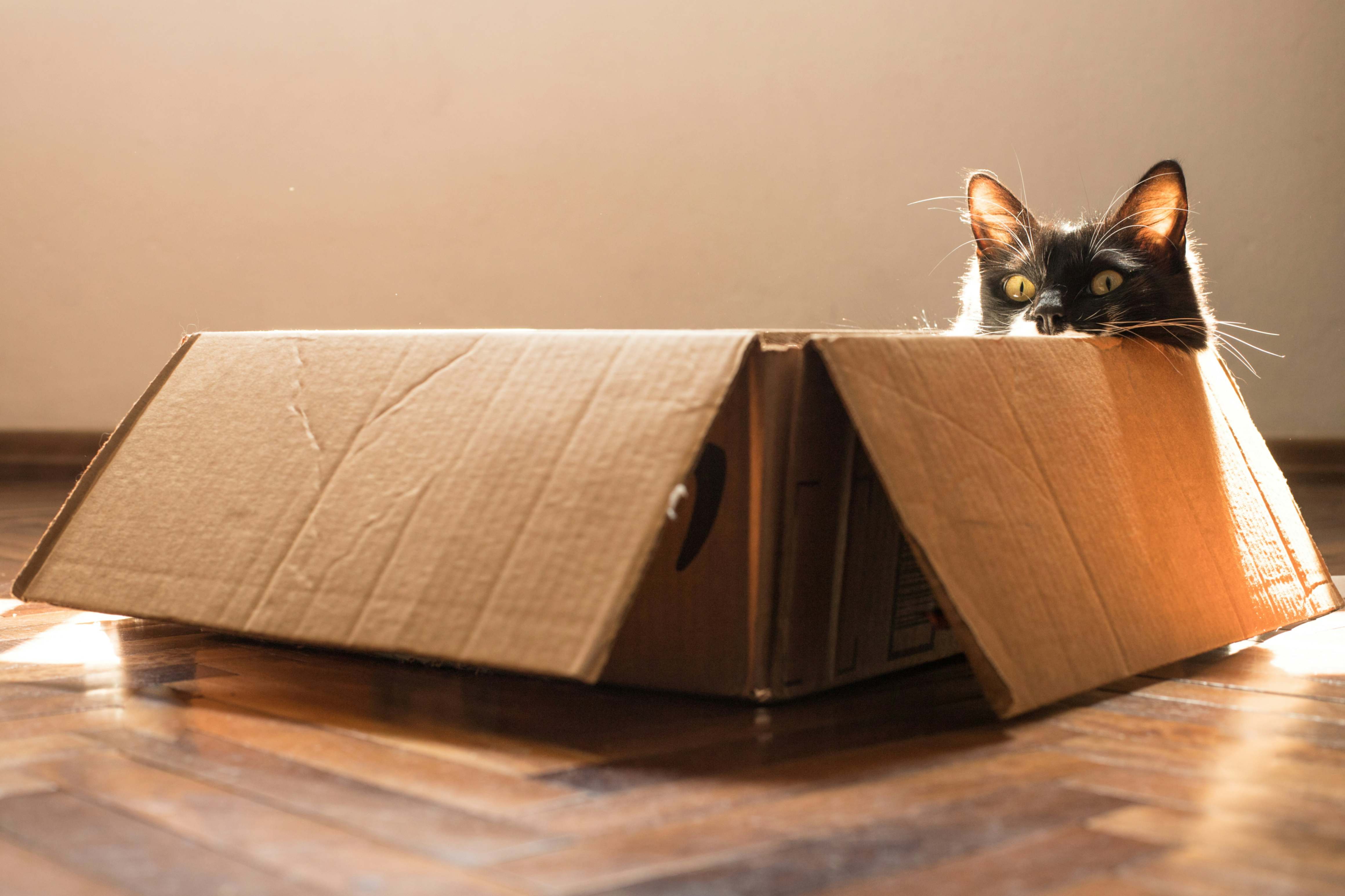 Shipping Services