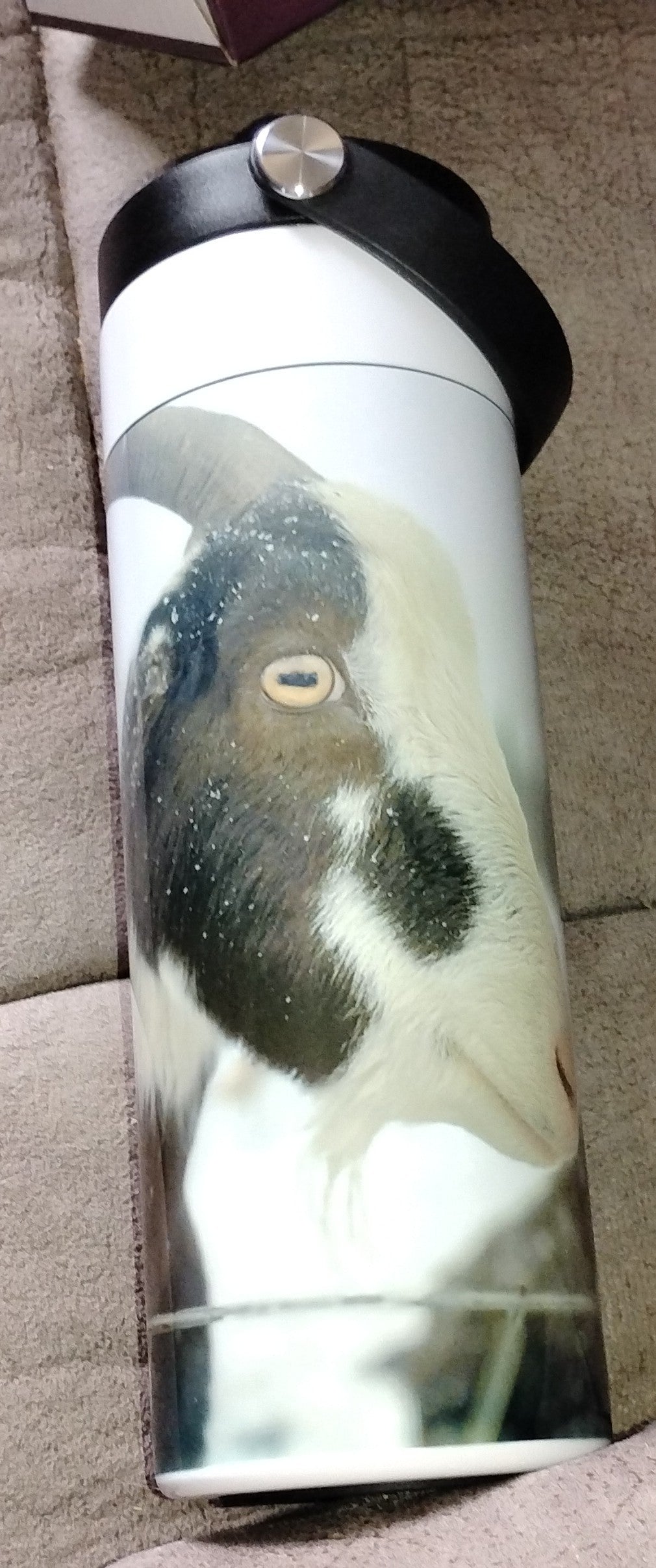 Sports water bottle with goat double wall stainless steel