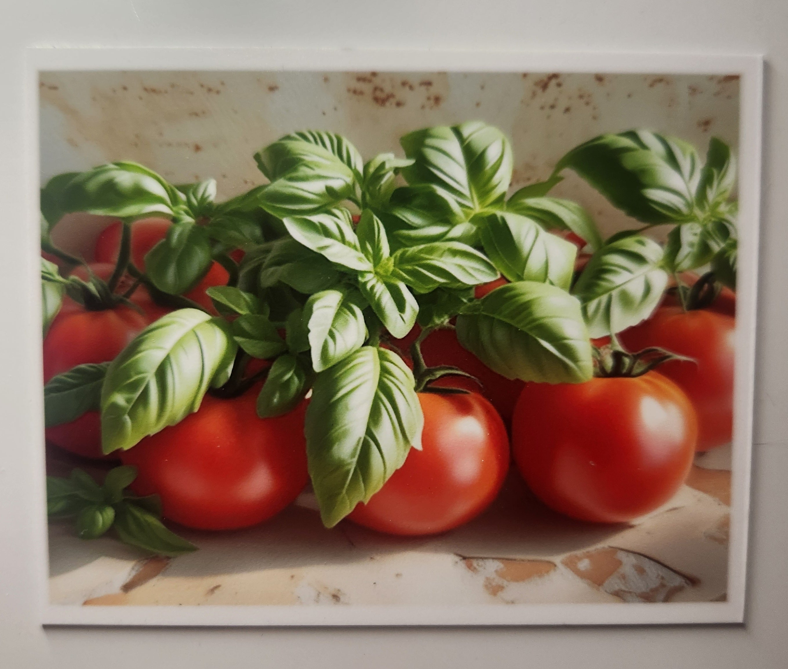Refrigerator magnet - Tomato and Basil