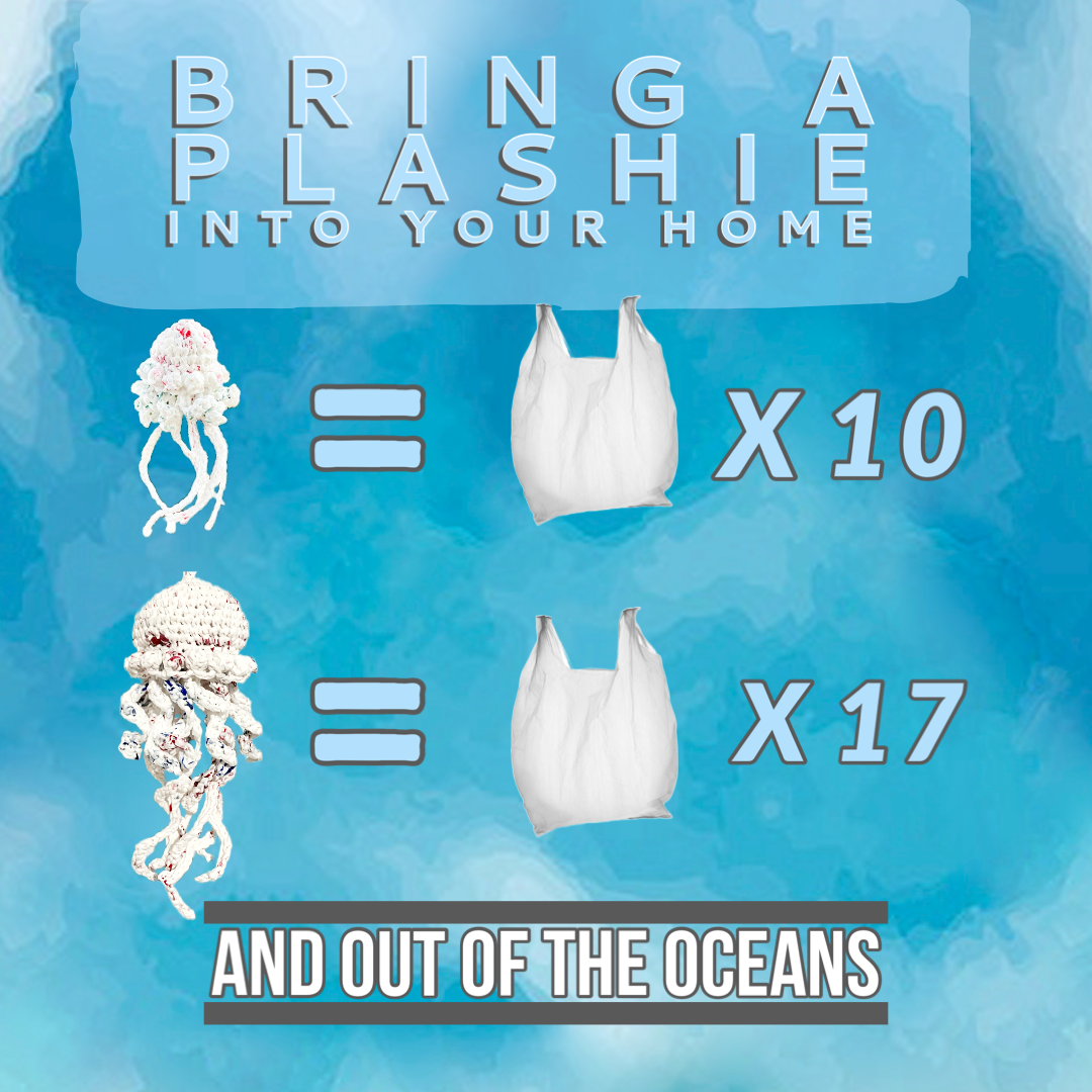 Small Jellyfish Plashies