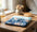 Stylish Cosmetic Bag